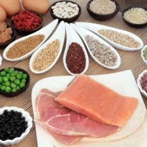 Episodio 7: Las proteínas