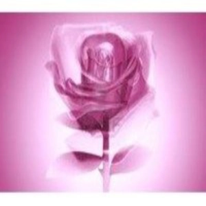 Lección 8 Serie del Creador - Recibe el Fruto de la Rosa
