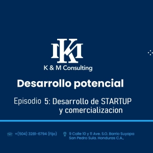 Desarrollo de STARTUP y comercialización