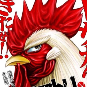 Base Otaku Manga 111 - Akamatsu y Seven y Rooster Fighter