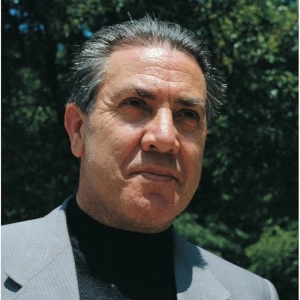 José Luis Martín Descalzo: Pájaro solitario 15