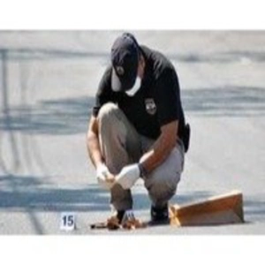 Crimenes Imperfectos.Investigadores Forenses (Capitulo 30): Operación Sorbete
