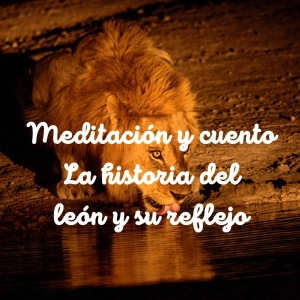 19. Nueva Meditación y cuento: El León y su reflejo