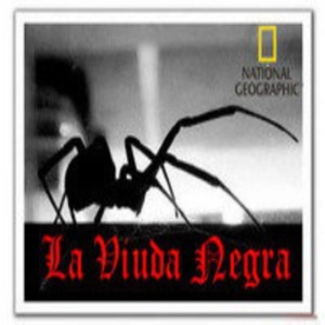 La Viuda negra