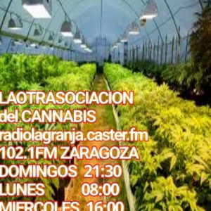UNDERGROW TV #114 Infomaria, constitución de un club 2, Expomedeweed, cultivo Advanced Nutrients 5