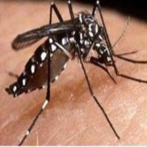 Los virus mas letales