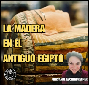 Descripción de La Tumba de Tutmosis II y el proyecto Medjehu. Gersande Eschenbrenner 642. LFDLC