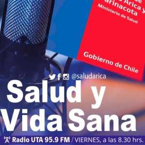 Noticiero del Servicio de Salud Arica y Parinacota [20 diciembre 2024]