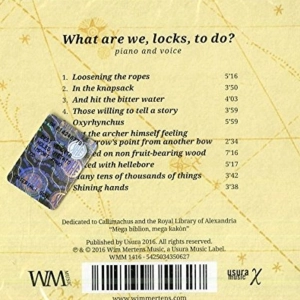 16- Wim Mertens: "What are we, locks, to do?"