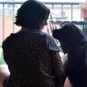 ¿Qué son las Casas de Acogida para mascotas?