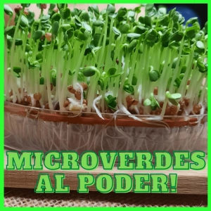 EP-26: Microverdes: los nuevos invitados ala mesa.