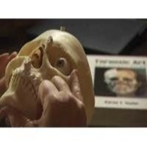 Forenses de Los Ángeles (1ª Temp. - Cap.8): Rastro de hormigas