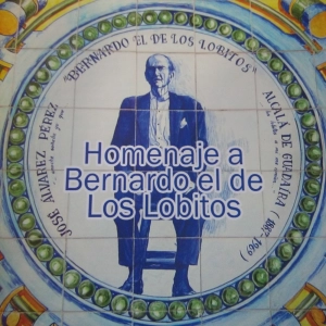 Bernardo el de los Lobitos: Guajiras (Cuando en tu jardín entré)