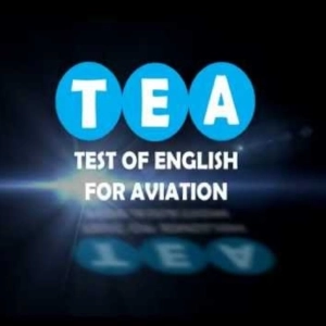 TEA 2 de 8