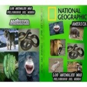 Los animales más peligrosos del mundo (2de12): America