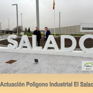 LND Inversión Poligono Industrial EL SALAO 5 MAR 26