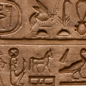 Jeroglíficos, las palabras sagradas de Egipto