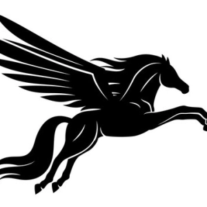 Pegasus, un análisis técnico con el catedrático Gregorio Martín