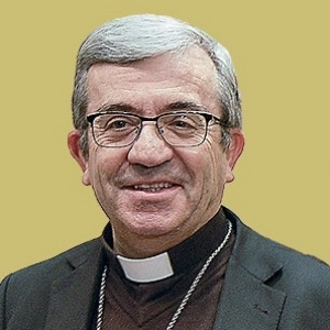 Luis Argüello, Sínodo sobre sinodalidad