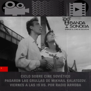 Escena 432 - Pasaron las grullas de Mikail Kalatozov