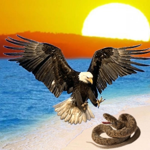 GNOSIS - DOCUMENTALES