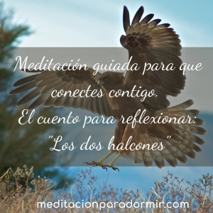 53. Meditación guiada para dormir profundamente y el cuento para reflexionar “Los dos halcones”