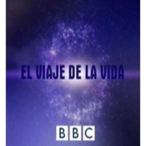 El viaje de la vida