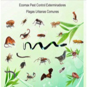Parasitos y plagas: Campos y bosques devorados (Mediterranea)