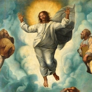 15. Corazón de Jesús, en quien habita toda la Plenitud de la Divinidad