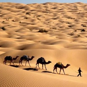 Los secretos del desierto del Sahara Por Documentales ConCiencia