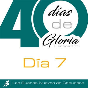 Día 7 El amor