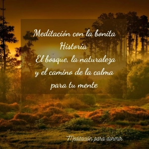 36. Meditación para dormir con la bonita Historia: El bosque, la naturaleza y el camino de la calma para tu mente