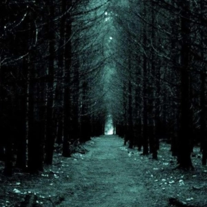 El bosque de los suicidios