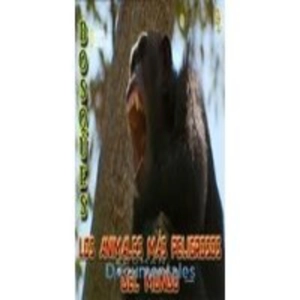 Los animales más peligrosos del mundo (9de12): Bosques