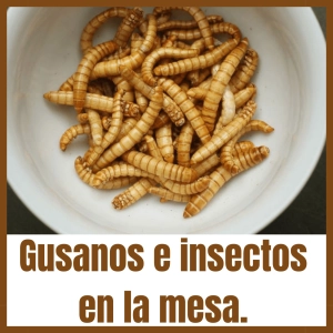 EP-27: Gusanos e insectos en la mesa.