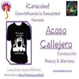 Acoso Callejero