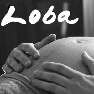 Loba film