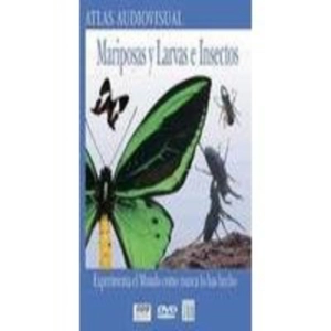 Mariposas, larvas e insectos