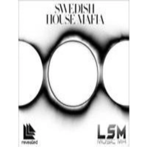 Raise Your Head/Epic/Check It Out (LSM vs Swedish House Mafia Mashup)