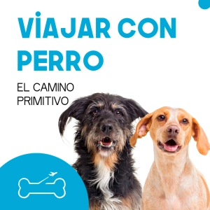 Ep 8. Camino de Santiago Primitivo @perregrinosdelmundo