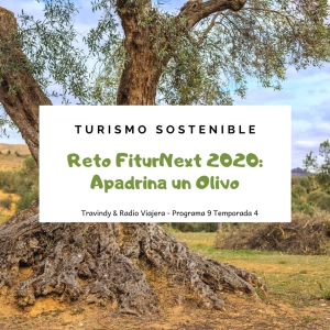 Reto FiturNext 2020: Apadrina un Olivo - Turismo Sostenible 43