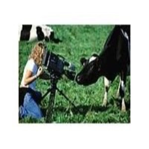 Cuentos de la Naturaleza (6de13): La Vaca