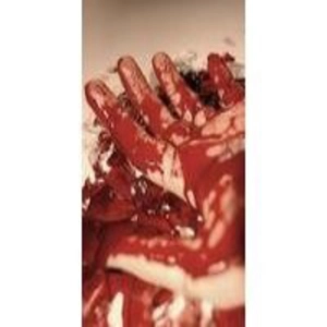 Forenses de Los Ángeles (2ª Temp. - Cap.8): Rúbrica de un asesinato