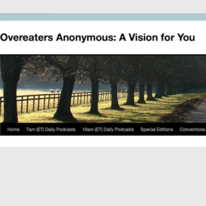 Special Edition A Vision For You traducido 12 ENERO 2014 #AV4YOU #OAUVPT