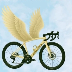 333. Montando en bici para salvar vidas: marcha ciclista en homenaje a Juan Manuel García en Sevilla.