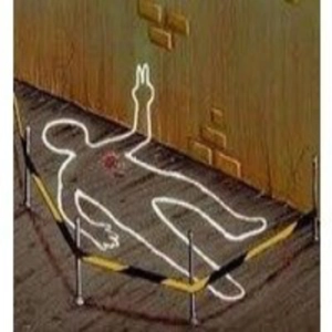 Crimenes Imperfectos.Investigadores Forenses (Capitulo 20): Violet Town