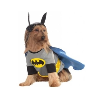 Carnavales con mascotas