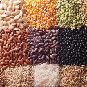 Episodio 23: Comer para tener salud