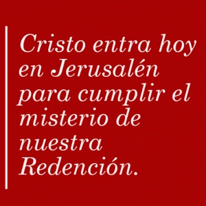 Bendito el que viene en nombre del Señor, el Rey de Israel