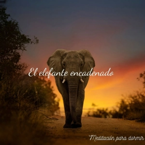 17. Meditación de la compasión y cuento : El elefante encadenado.